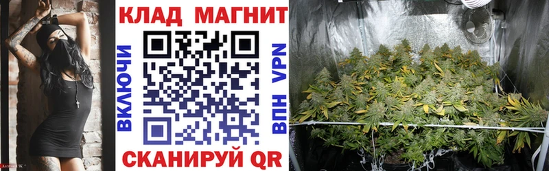 Продажа наркотиков Севск ГАШИШ МЕГА рабочий сайт Меф