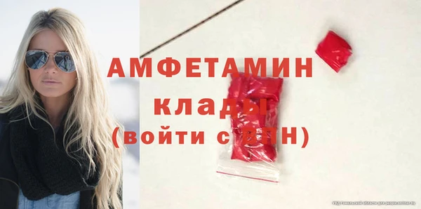 твердый Горняк