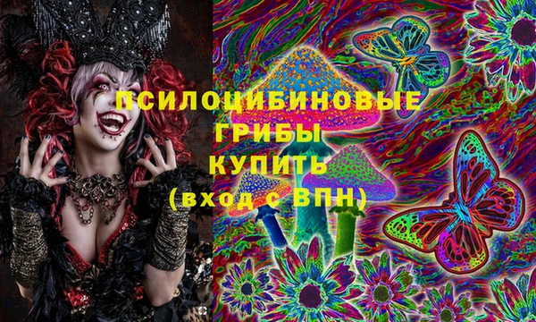 твердый Горняк