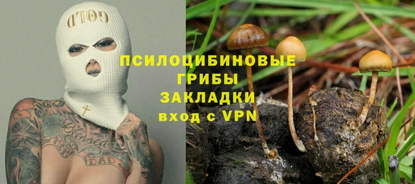твердый Горняк