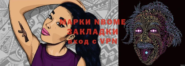 твердый Горняк