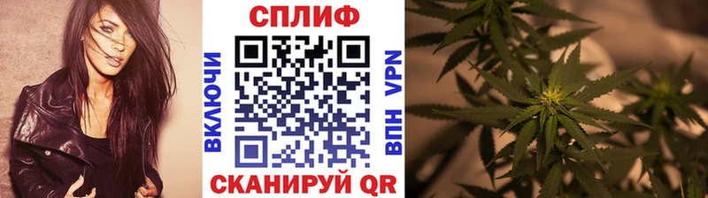 Конопля Bruce Banner  сколько стоит  Севск 
